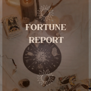 Fortune Report